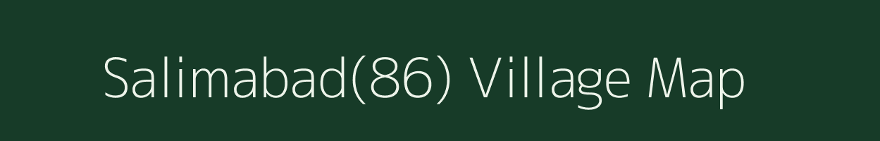 Salimabad(86) village map in Haryana