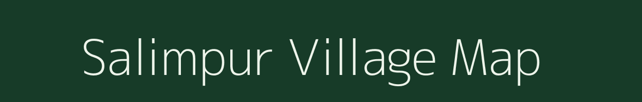 Salimpur village map in Assam