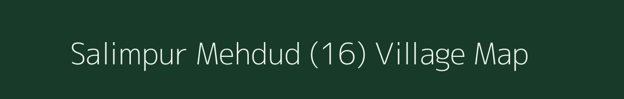 Salimpur Mehdud (16) village map in Haryana