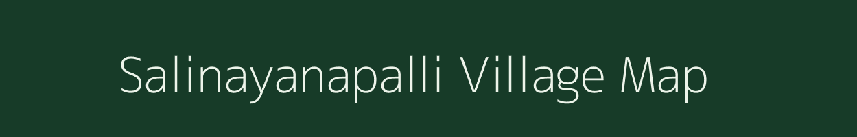 Salinayanapalli village map in Tamil Nadu