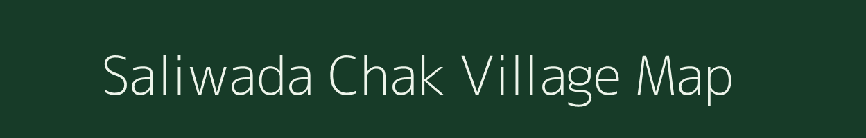 Saliwada Chak village map in Madhya Pradesh