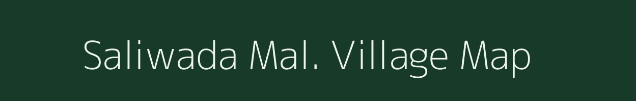 Saliwada Mal. village map in Madhya Pradesh