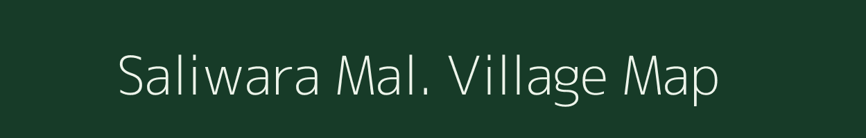 Saliwara Mal. village map in Madhya Pradesh