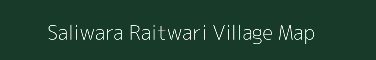 Saliwara Raitwari village map in Madhya Pradesh