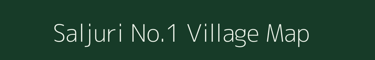 Saljuri No.1 village map in Assam