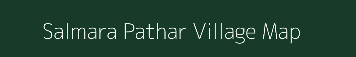 Salmara Pathar village map in Assam