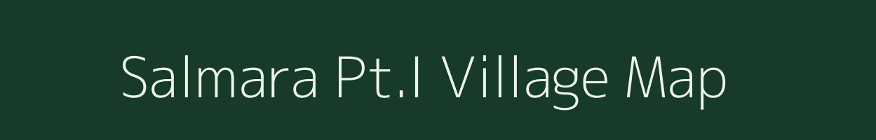 Salmara Pt.I village map in Assam