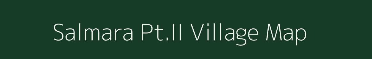 Salmara Pt.II village map in Assam