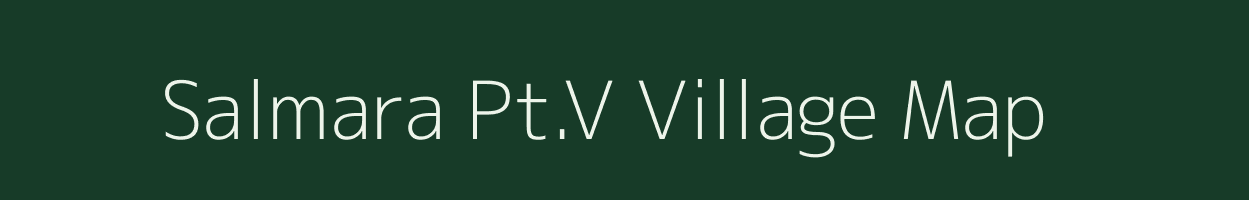 Salmara Pt.V village map in Assam