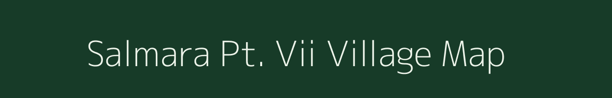 Salmara Pt. Vii village map in Assam