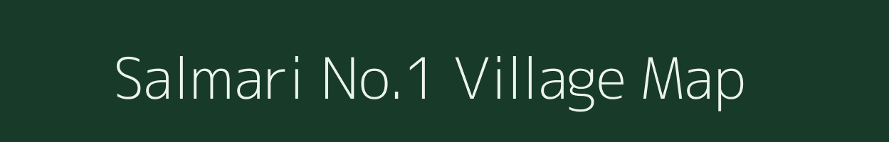 Salmari No.1 village map in Assam