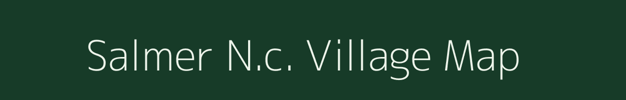 Salmer N.c. village map in Assam