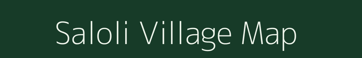 Saloli village map in Gujarat