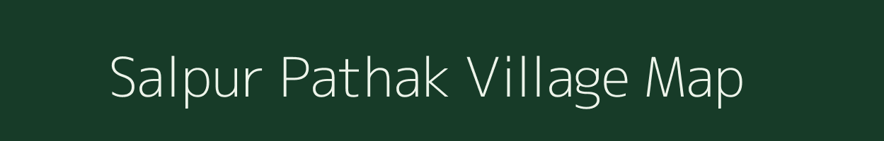 Salpur Pathak village map in Uttar Pradesh