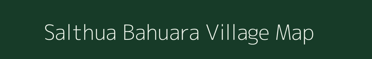 Salthua Bahuara village map in Bihar