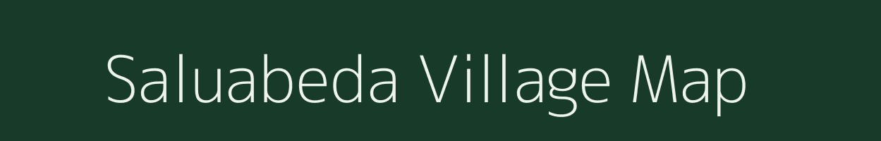 Saluabeda village map in Odisha