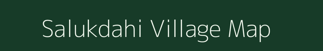 Salukdahi village map in Odisha