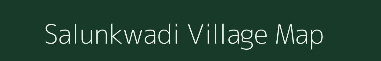 Salunkwadi village map in Maharashtra