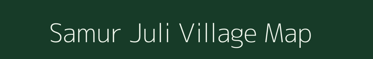 Samur Juli village map in Assam