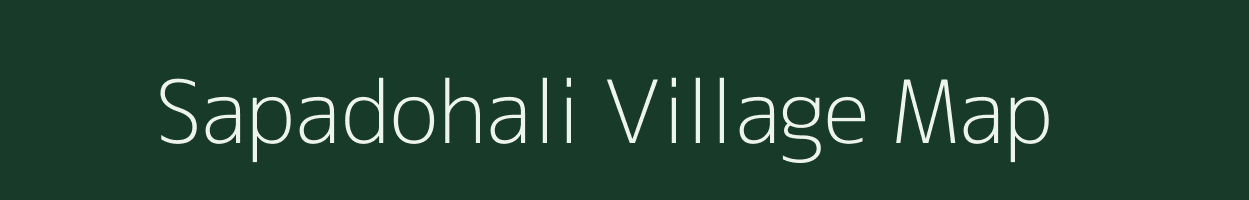 Sapadohali village map in Odisha