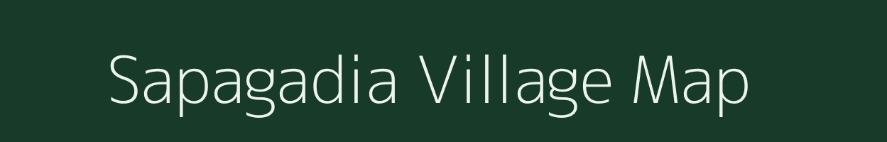 Sapagadia village map in Odisha