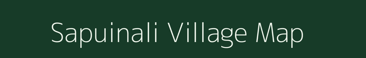 Sapuinali village map in Odisha