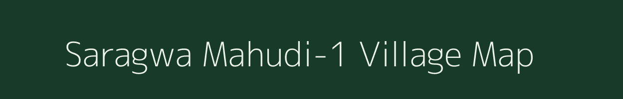 Saragwa Mahudi-1 village map in Gujarat