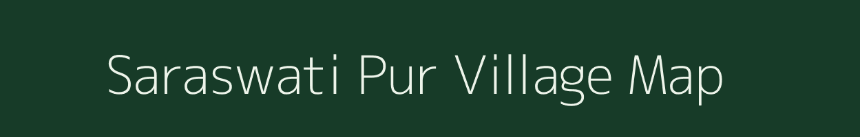 Saraswati Pur village map in Odisha