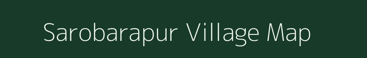 Sarobarapur village map in Odisha