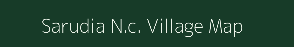 Sarudia N.c. village map in Assam