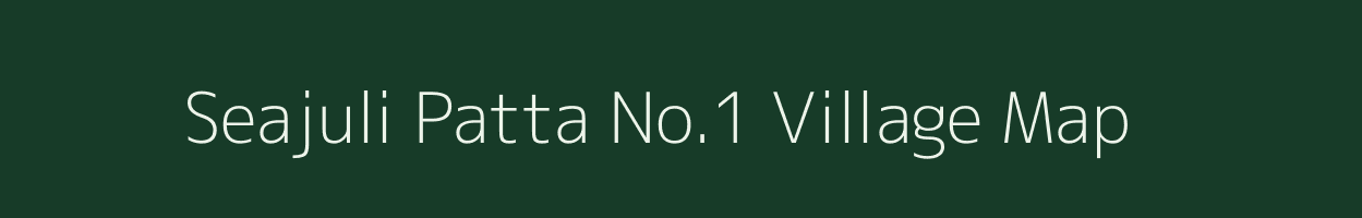 Seajuli Patta No.1 village map in Assam