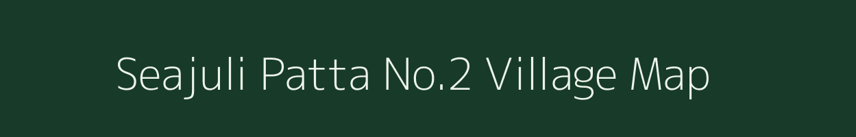 Seajuli Patta No.2 village map in Assam