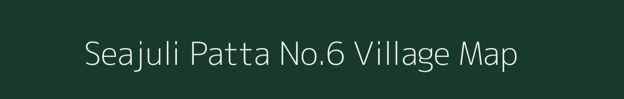 Seajuli Patta No.6 village map in Assam
