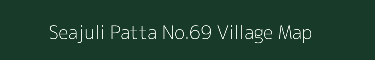 Seajuli Patta No.69 village map in Assam