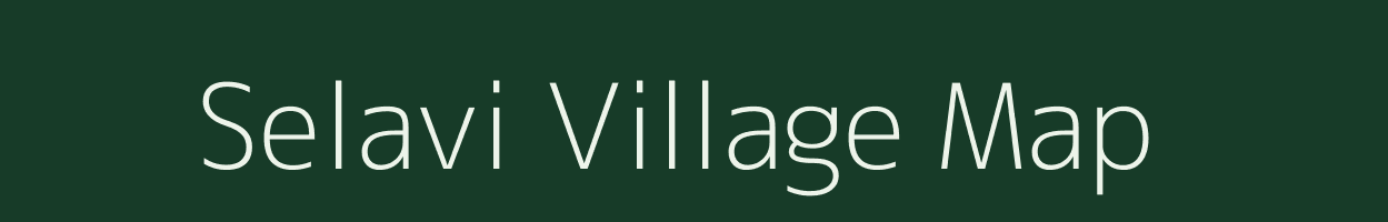Selavi village map in Gujarat
