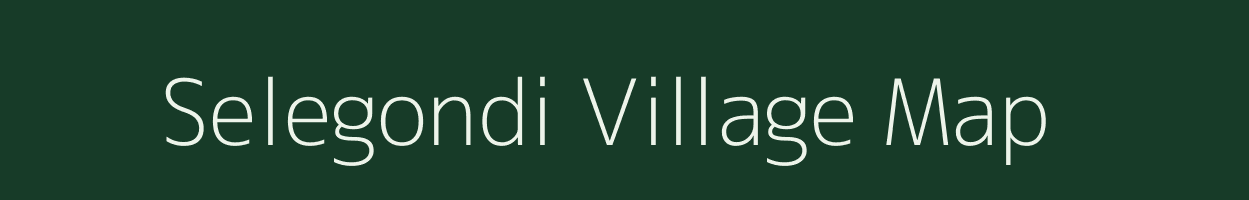 Selegondi village map in Chhattisgarh