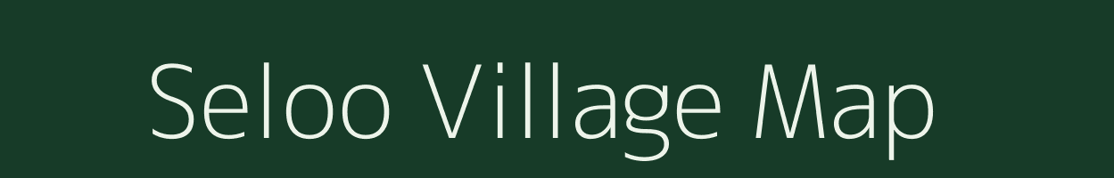 Seloo village map in Rajasthan