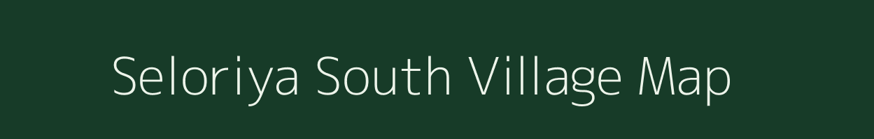 Seloriya South village map in Rajasthan