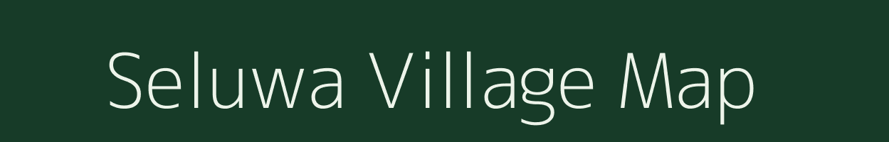 Seluwa village map in Madhya Pradesh