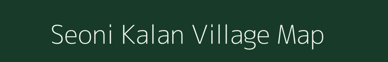 Seoni Kalan village map in Chhattisgarh