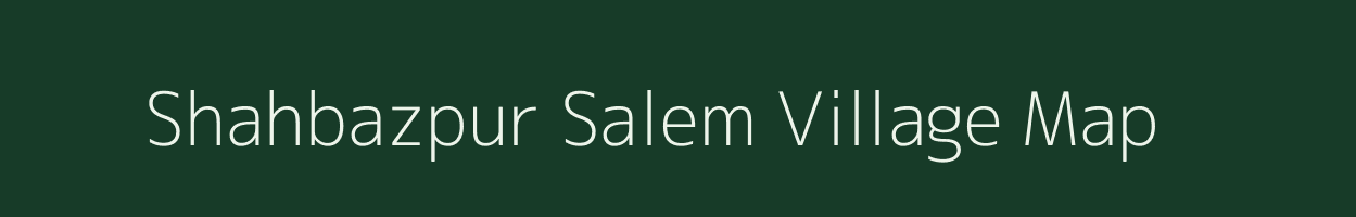 Shahbazpur Salem village map in Bihar