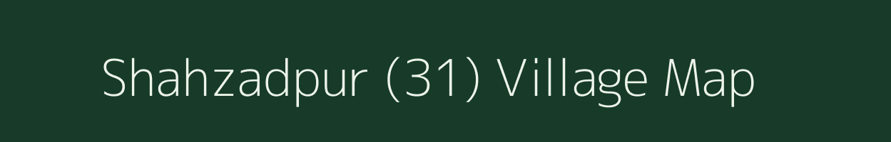 Shahzadpur (31) village map in Haryana