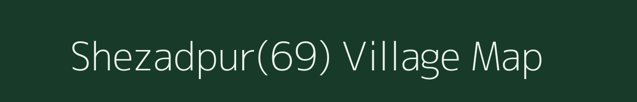 Shezadpur(69) village map in Haryana