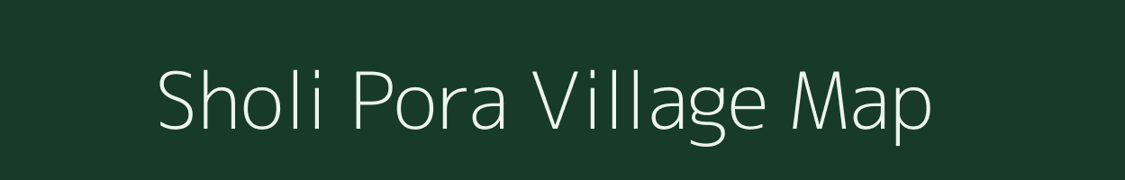 Sholi Pora village map in Jammu & Kashmir