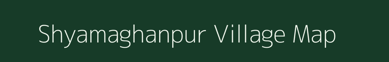 Shyamaghanpur village map in Odisha