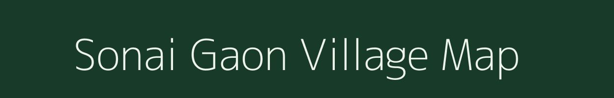Sonai Gaon village map in Assam