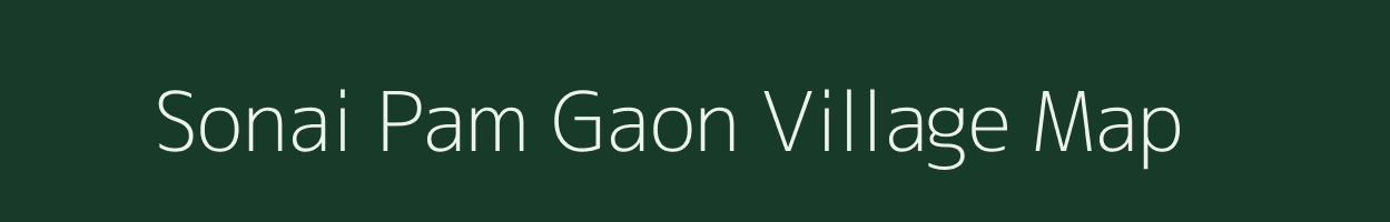 Sonai Pam Gaon village map in Assam
