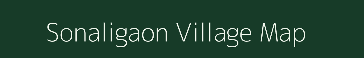 Sonaligaon village map in Assam