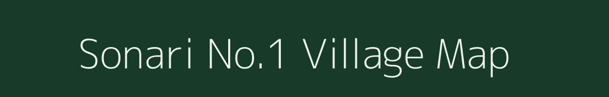 Sonari No.1 village map in Assam