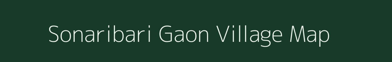 Sonaribari Gaon village map in Assam